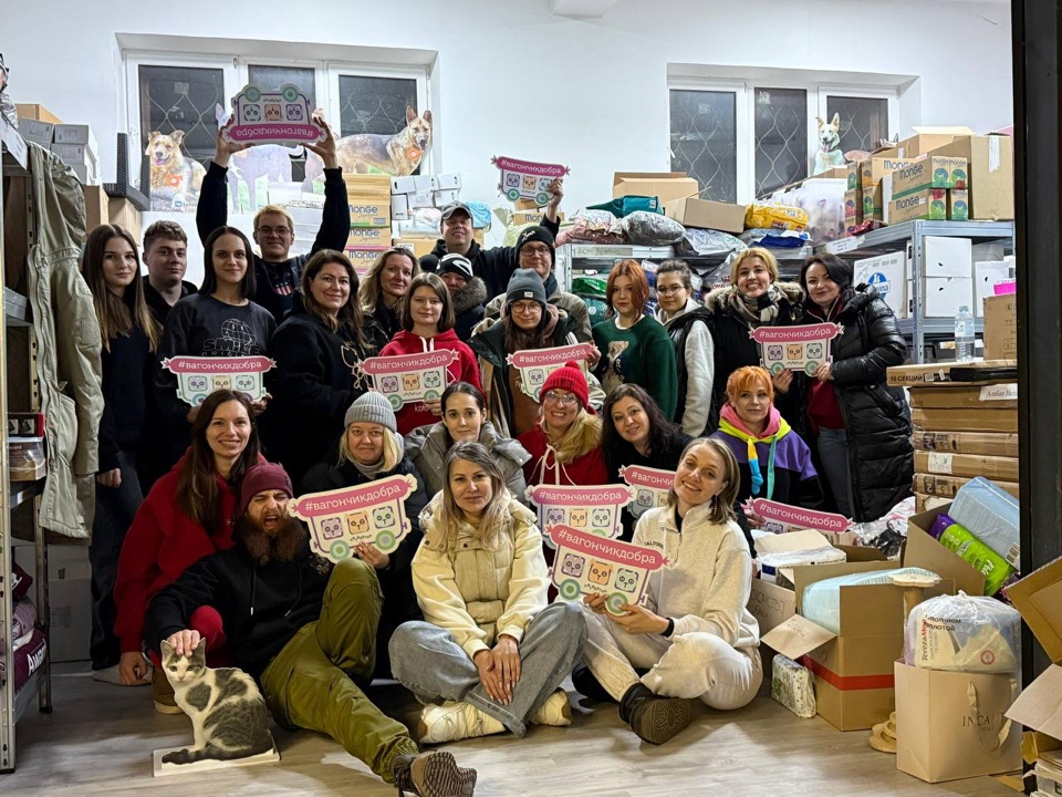 Students of the Institute of Foreign Languages took part in a campaign to gather food for homeless animals